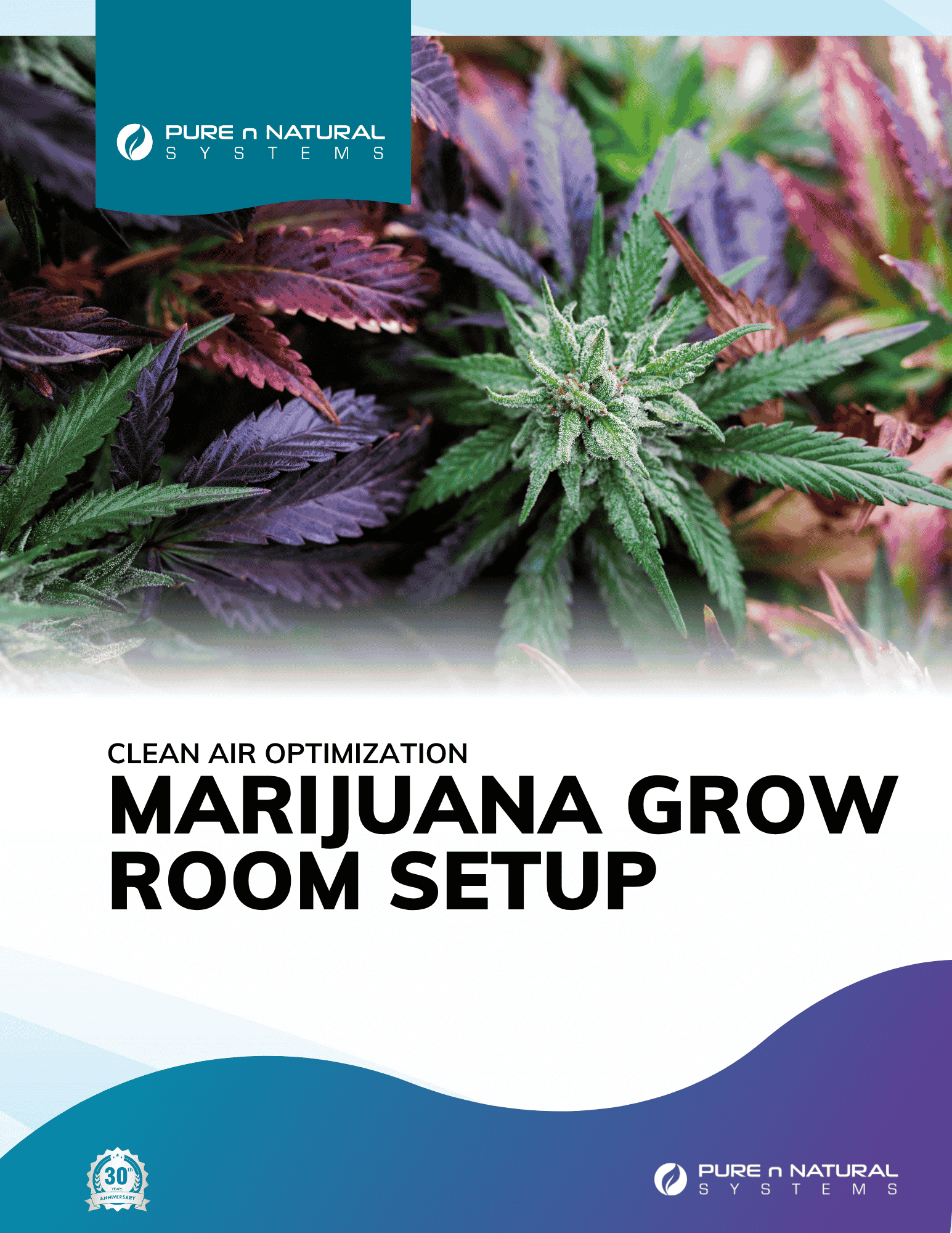 Marijuana Grow Room Set Up Guide 2025 Thumbnail