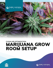 Marijuana Grow Room Set Up Guide