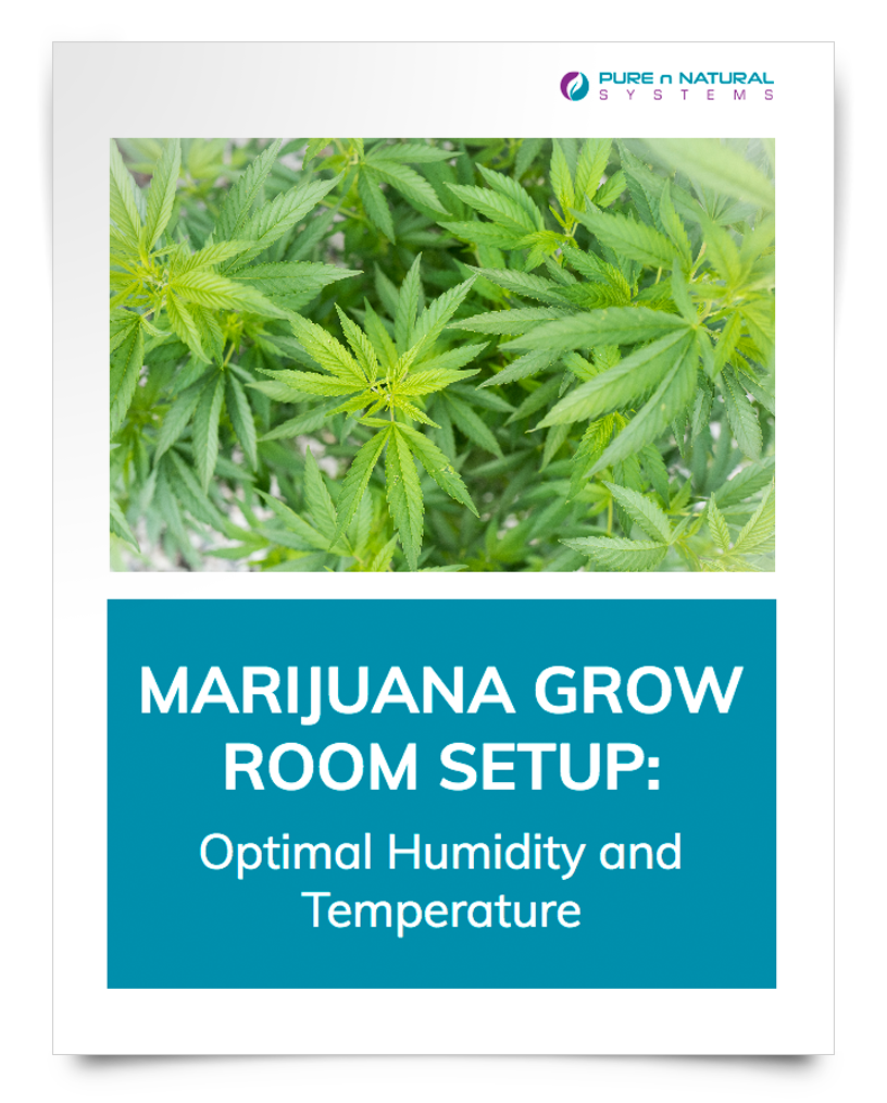 Grow_Room_Setup-Download_Cover